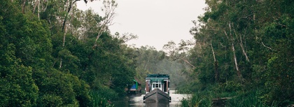 Bornean Jungle Adventures with Intrepid