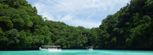 Uncover Paradise in Palau